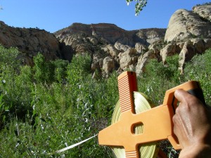 Capitol Reef